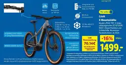 Lidl CRIVIT E-Mountainbike Angebot