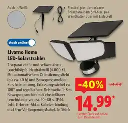 Lidl LIVARNO home LED-Solarstrahler Angebot