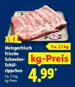 Lidl Metzgerfrisch Frische Schweine-Schälrippchen Angebot