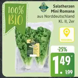 Edeka Salatherzen Mini Romana Angebot