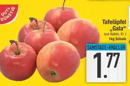 Edeka Tafeläpfel 'Gala' Angebot