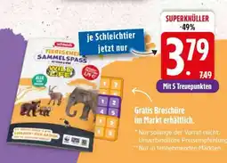 Edeka Tierischer Sammelspaß Wild Life Angebot