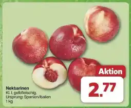 Famila Nord Ost Nektarinen Angebot