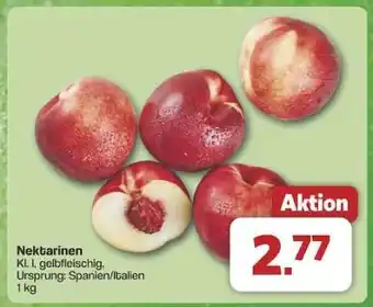 Famila Nord Ost Nektarinen Angebot