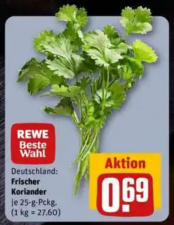 REWE Frischer Koriander Angebot