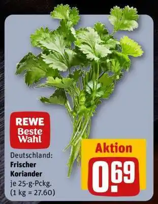REWE Frischer Koriander Angebot