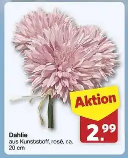 Famila Nord Ost Dahlie Angebot