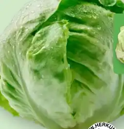 Aldi Nord Eisbergsalat Angebot