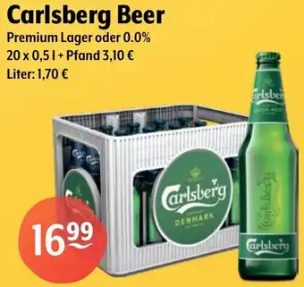 Getränke Hoffmann Carlsberg Beer Angebot