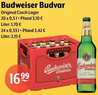 Getränke Hoffmann Budweiser Budvar Angebot