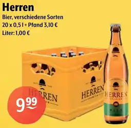 Getränke Hoffmann Herren Bier Angebot