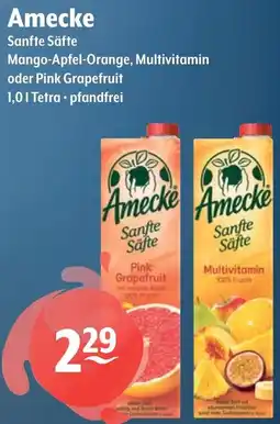 Getränke Hoffmann Amecke Sanfte Säfte Angebot