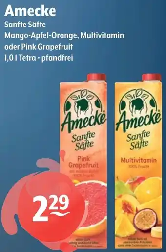 Getränke Hoffmann Amecke Sanfte Säfte Angebot