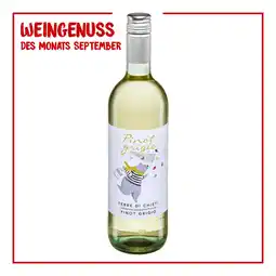 Netto Marken-Discount Cantina Tollo Pinot Grigio weiß trocken 12,5 % vol 0,75 Liter - Inhalt: 6 Flaschen Angebot