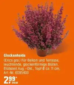 OBI Glockenheide Angebot
