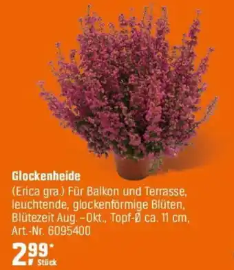 OBI Glockenheide Angebot