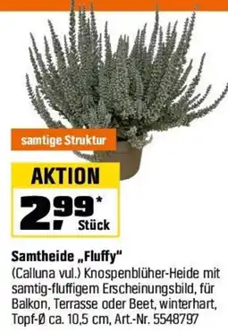 OBI Samtheide,,Fluffy" Angebot