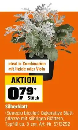 OBI Silberblatt Angebot