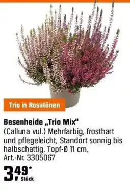 OBI Besenheide,Trio Mix" Angebot