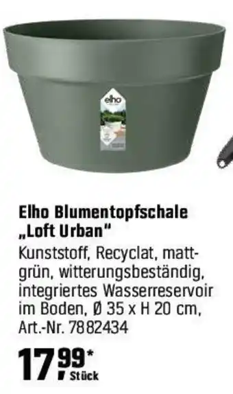 OBI Elho Blumentopfschale „Loft Urban" Angebot