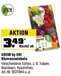 OBI GROW by OBI Blumenzwiebeln Angebot