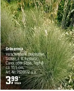 OBI Gräsermix Angebot