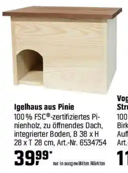OBI Igelhaus aus Pinie Angebot