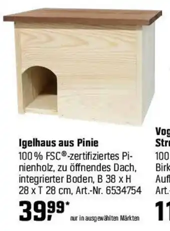 OBI Igelhaus aus Pinie Angebot