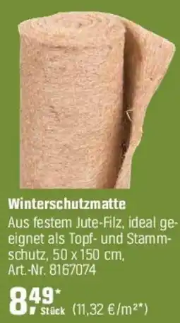 OBI Winterschutzmatte Angebot