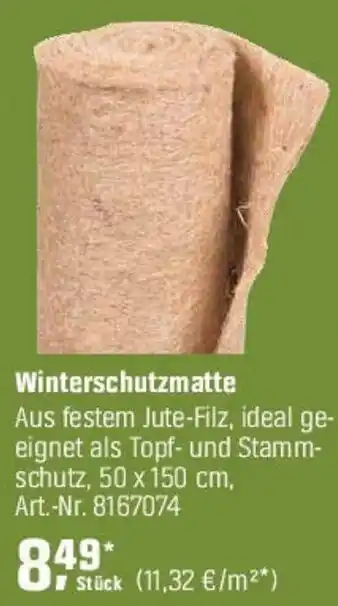 OBI Winterschutzmatte Angebot