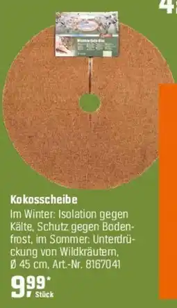 OBI Kokosscheibe Angebot