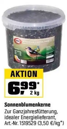 OBI Sonnenblumenkerne Angebot