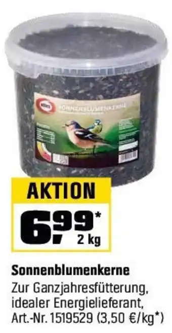 OBI Sonnenblumenkerne Angebot