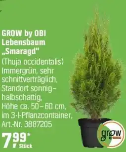 OBI GROW by OBI Lebensbaum „Smaragd" Angebot