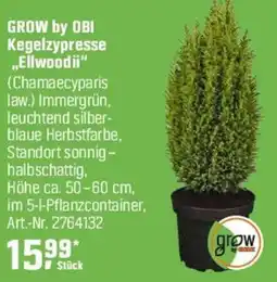 OBI GROW by OBI Kegelzypresse „Ellwoodii" (Chamaecyparis law.) Angebot