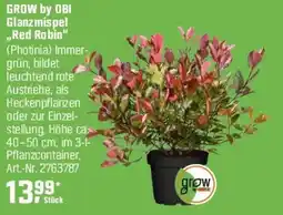 OBI GROW by OBI Glanzmispel ,,Red Robin" (Photinia) Angebot