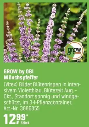 OBI GROW by OBI Mönchspfeffer Angebot