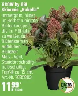 OBI GROW by OBI Skimmie,,Rubella" Angebot