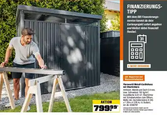 OBI Floraworld Metall-Gerätehaus mit Oberlichtern Angebot