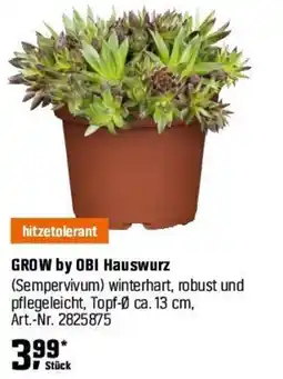 OBI GROW by OBI Hauswurz Angebot