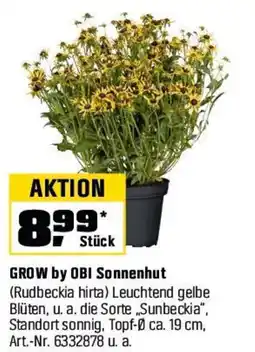 OBI GROW by OBI Sonnenhut (Rudbeckia hirta) Angebot