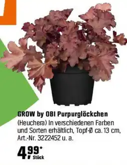 OBI GROW by OBI Purpurglöckchen (Heuchera) Angebot
