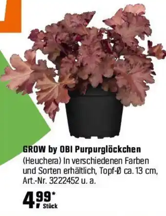 OBI GROW by OBI Purpurglöckchen (Heuchera) Angebot