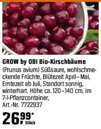 OBI GROW by OBI Bio-Kirschbäume (Prunus avium) Angebot