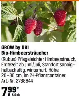 OBI GROW by OBI Bio-Himbeersträucher Angebot