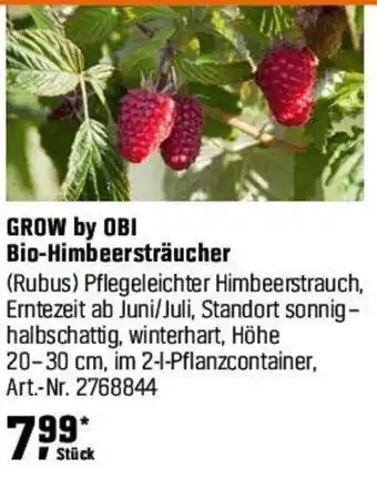 OBI GROW by OBI Bio-Himbeersträucher Angebot