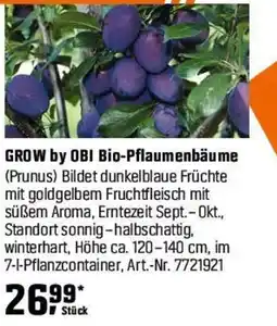 OBI GROW by OBI Bio-Pflaumenbäume (Prunus) Angebot