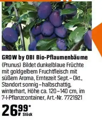 OBI GROW by OBI Bio-Pflaumenbäume (Prunus) Angebot