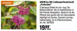 OBI GROW by OBI Liebesperlenstrauch „Profusion" Angebot