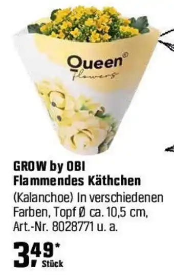 OBI GROW by OBI Flammendes Käthchen Angebot